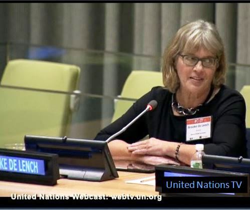 Brooke de Lench at concussion summit at United Nations