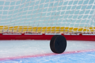 Hockey puck on the goal line